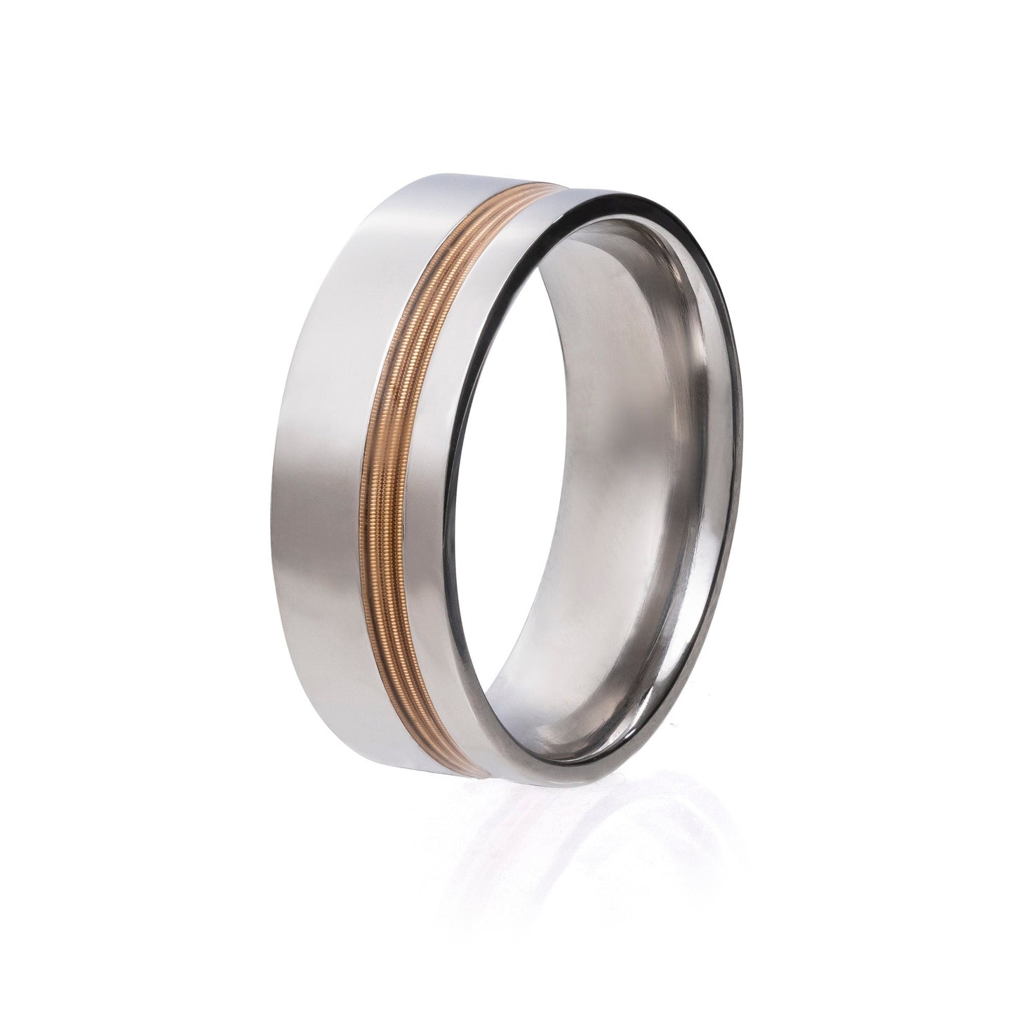 The Stringed Sentinel